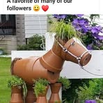 Donna Sills - Facebook