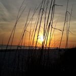 Donna Silver - @donna.silver.3701 - Instagram