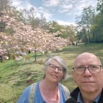 Donna Silver - @donnasilver3 - Instagram