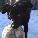 Donna - @donnasilverman26 - Instagram