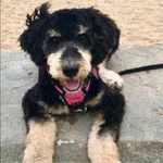 Donna Silverman Klein - @donnak411 - Instagram