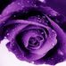 Donna Sim - Facebook