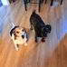 Donna Szymanski - Facebook