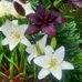 Donna M. Simino - Facebook