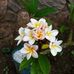Donna Simonds - Facebook