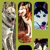 donnasimoneaux460 - @donnasimoneaux460 - TikTok