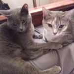 Donna Singh - @donnalove366 - Instagram