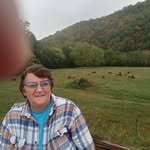 Donna Singleton - @amy5245 - Instagram