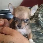 Donna Singleton - @donna.singleton.77770 - Instagram