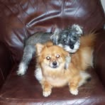 Donna Sipe - Facebook