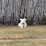 Donna Sipe - @revitalize_your_life - Instagram