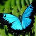 Donna Seitz - Facebook