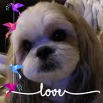 Donna Six Field - @mizzou5855 - Instagram