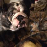 Donna Skaggs - @donna_skaggs20 - Instagram