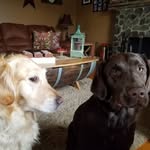Donna Skaggs Roy - @donnaskaggsroy - Instagram