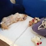 Donna Witkowski Skiles Jackley - @skilesjackley - Instagram