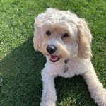 Donna Slevin - @donnajs04 - Instagram