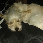 Donna Snell - @donna.snell.31 - Instagram