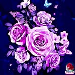 Donna Snell - Facebook