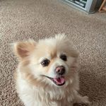 Donna Post Snook - @donnapostsnook - Instagram