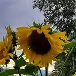 @donna.soderquist - Instagram
