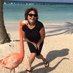 Donna Solano - @solanodonna - Instagram