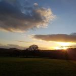 Donna Sorrell - @donnasorrell1 - Instagram