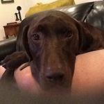 Donna South - @donna_south229 - Instagram