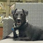 Donna South - @donna.south.779 - Instagram