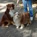 Donna Southwick - Facebook