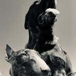 @bella.donna_jack.sparrowxx - Instagram