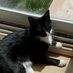 Donna Sparrow - Facebook