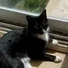 Donna Sparrow - @donna.sparrow5 - TikTok