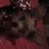 donnaspears3 - @donnaspears3 - TikTok