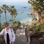 Donna Speer - @dkspeer1 - Instagram