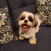 Donna Sperry - @donna.sperry - TikTok