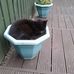 Donna Spink - Facebook
