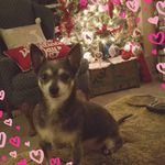 Donna Sue Spinks-Morrow - @spinksmorrow - Instagram