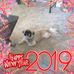 Donna Spratt - Facebook