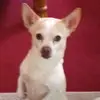 Donna Sprayberry - @donna.sprayberry - TikTok