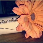 Donna Springer - @donnaspringer4259mn - Instagram