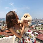 Donna Springer - @donnaspringer1004 - Instagram