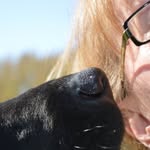 Donna Sprott - @sprottdonna - Instagram