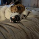 Donna Sproul Costa - @donamarie51 - Instagram