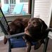 Donna Trelegan Sproul - Facebook