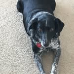Donna Sprow - @mrsgrandmasprow - Instagram