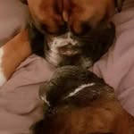 Donna-marie Squires - @dmsquires5 - Instagram