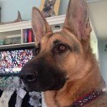 Donna Squires - @gavinrschel_62_m3r5 - Instagram