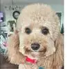 Donna Squires Goodson - @donnasquiresgoods - TikTok