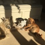 Donna J Stables - @donna_stables - Instagram